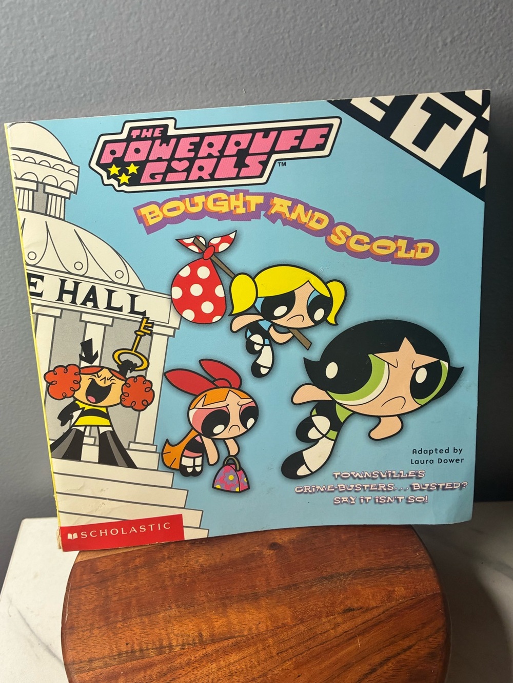Powerpuff Girls Bought and Scold Scholastic Paperback Book